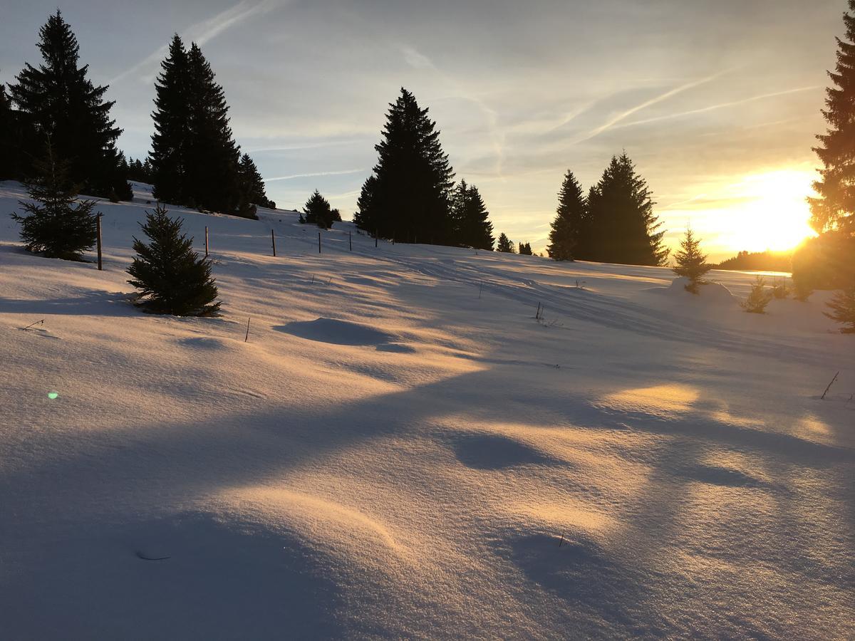 Schwarzwald-Hotel Kraeutle Фелдберг Екстериор снимка